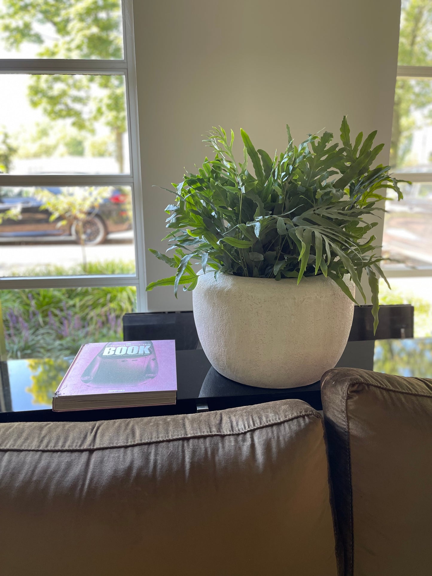 Blue Fern