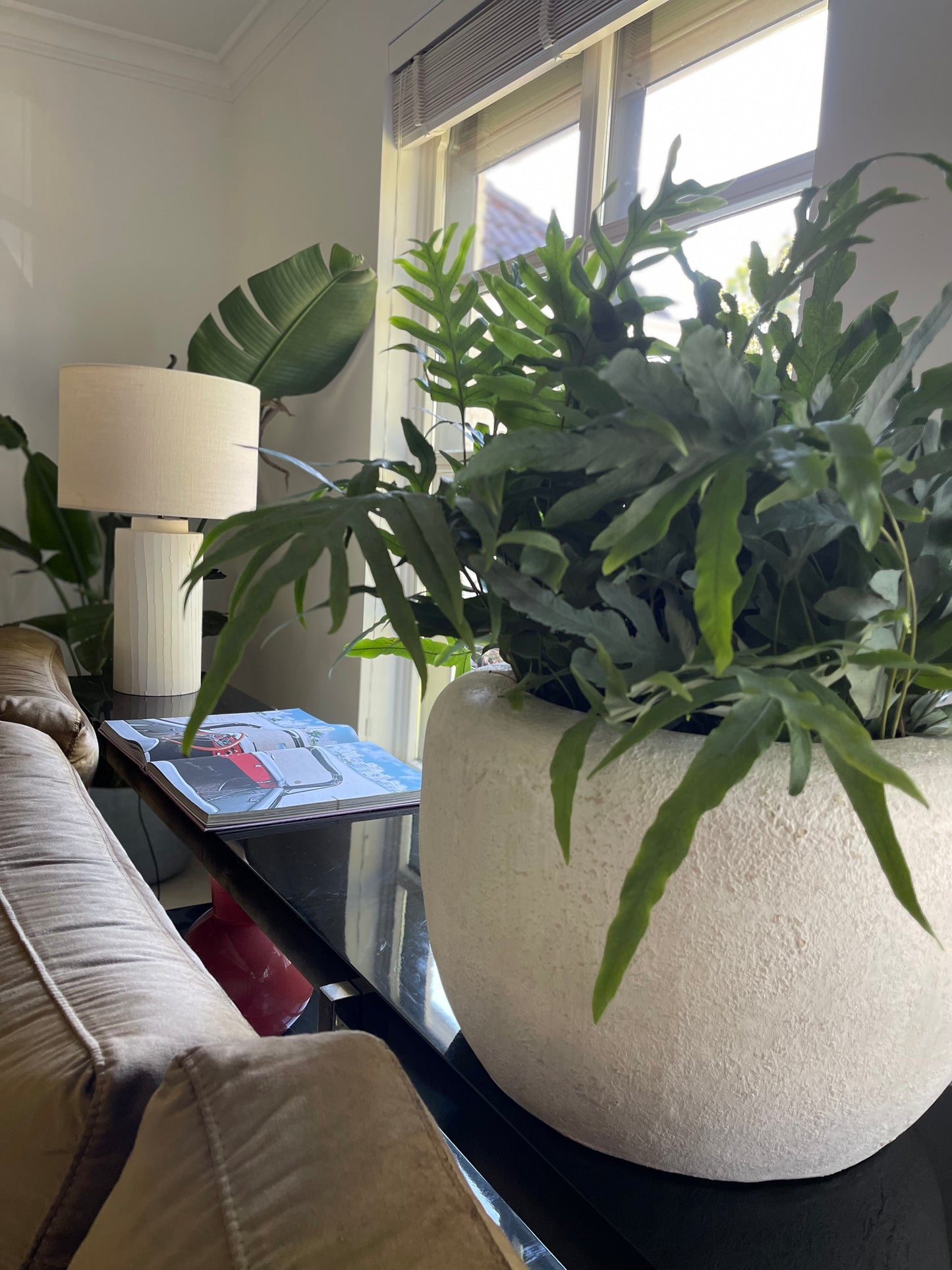 Blue Fern