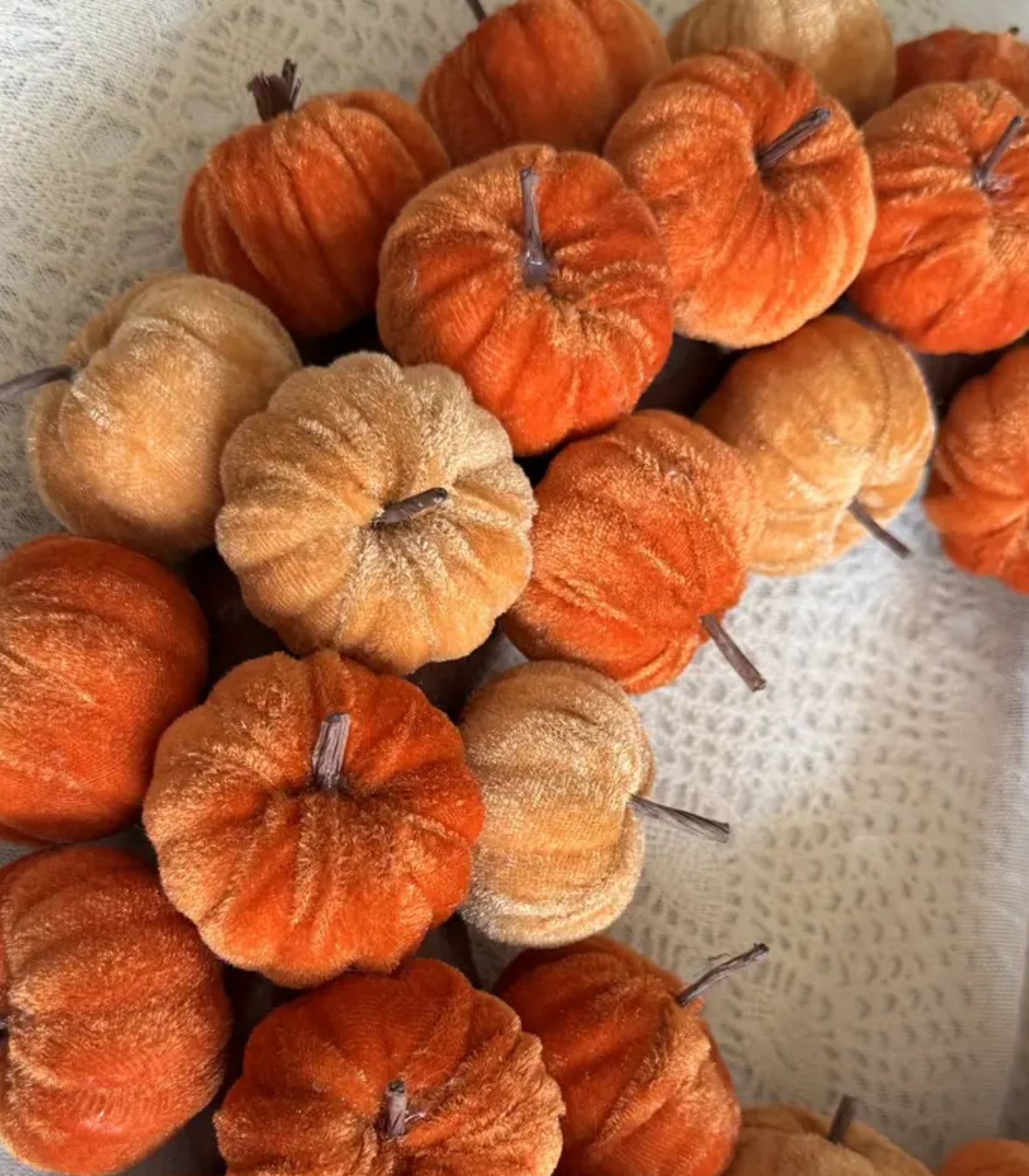 Pretty Pumpkin