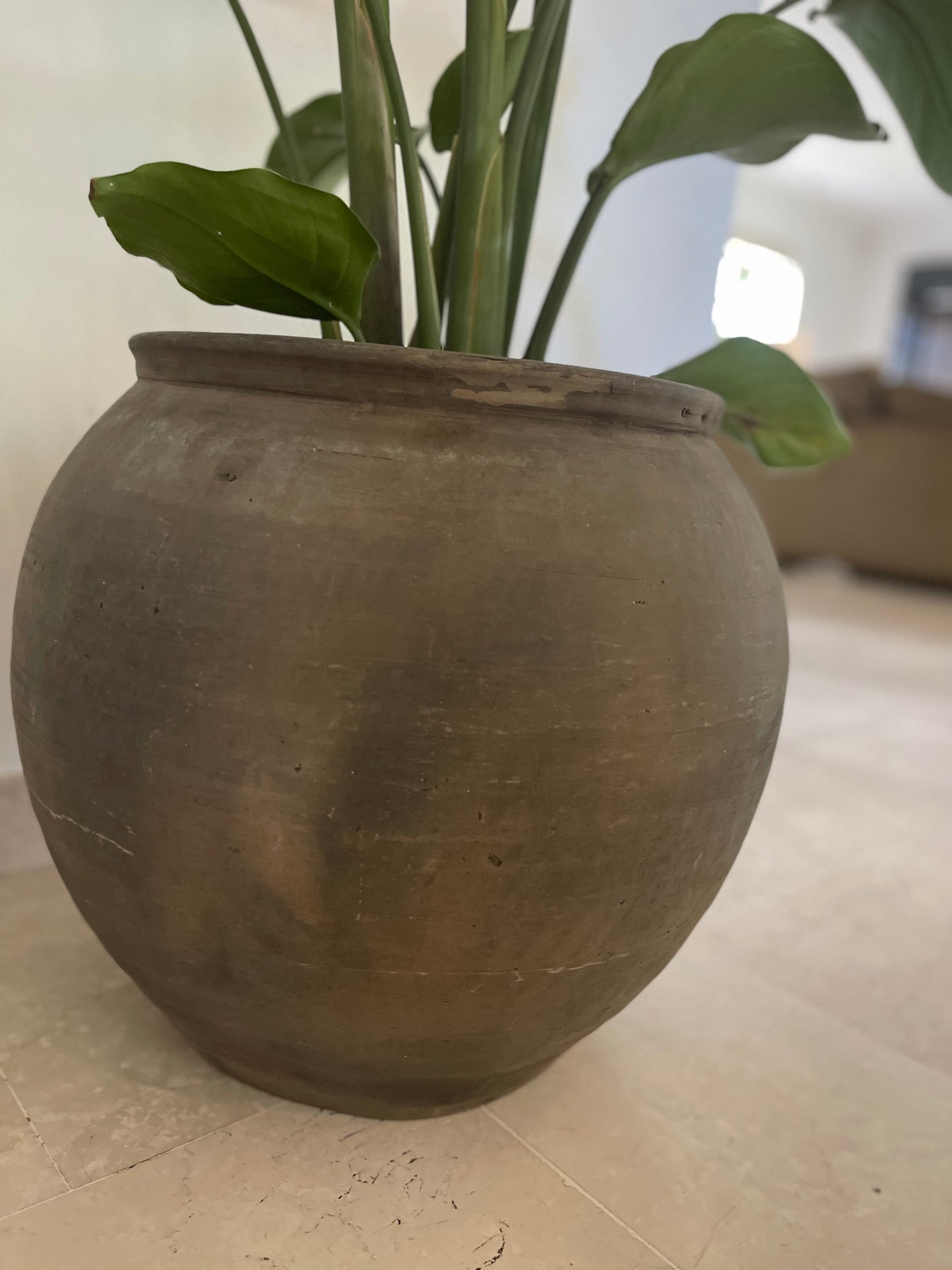 Aardse Elegantie