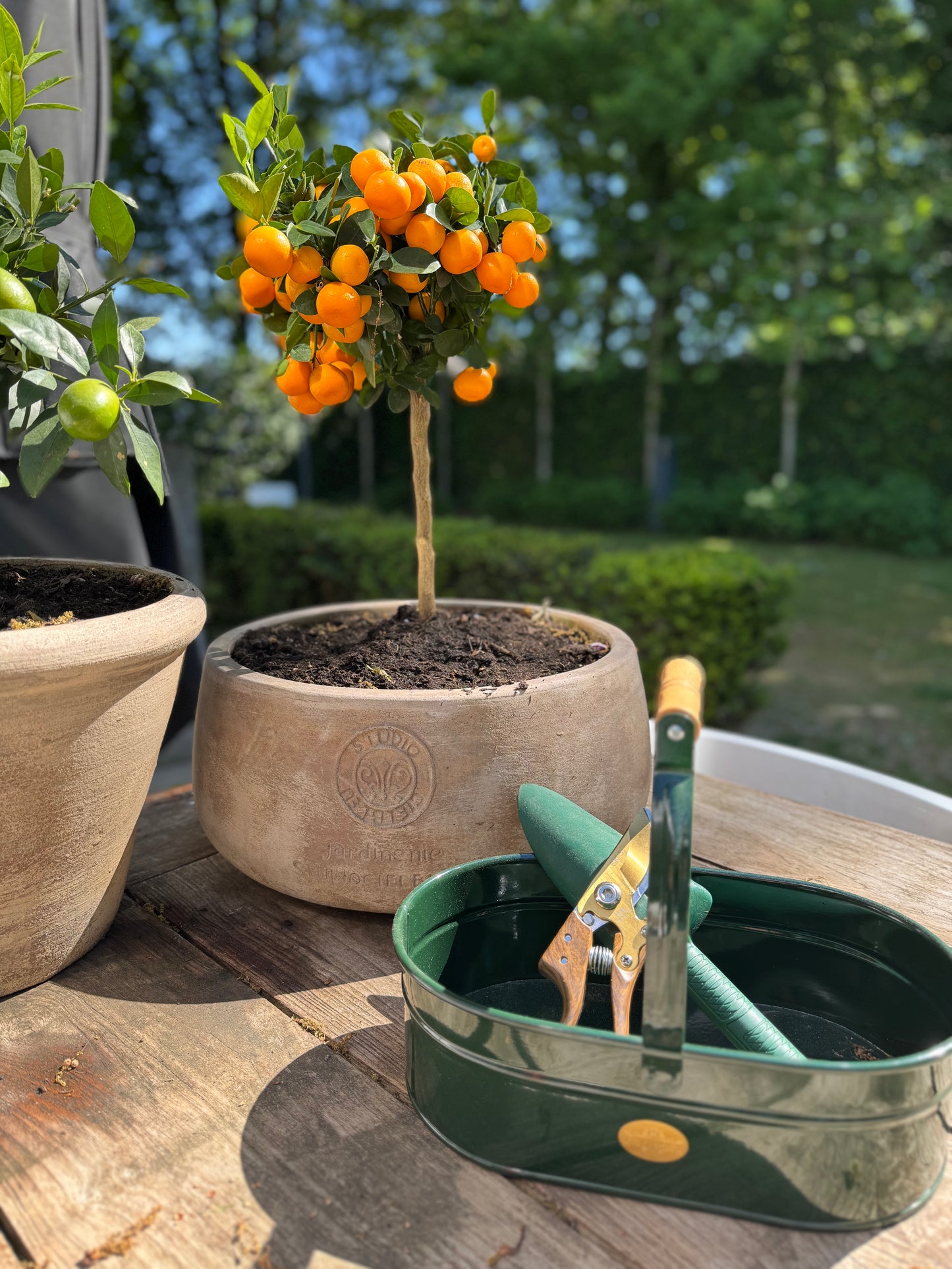 Handy Basket