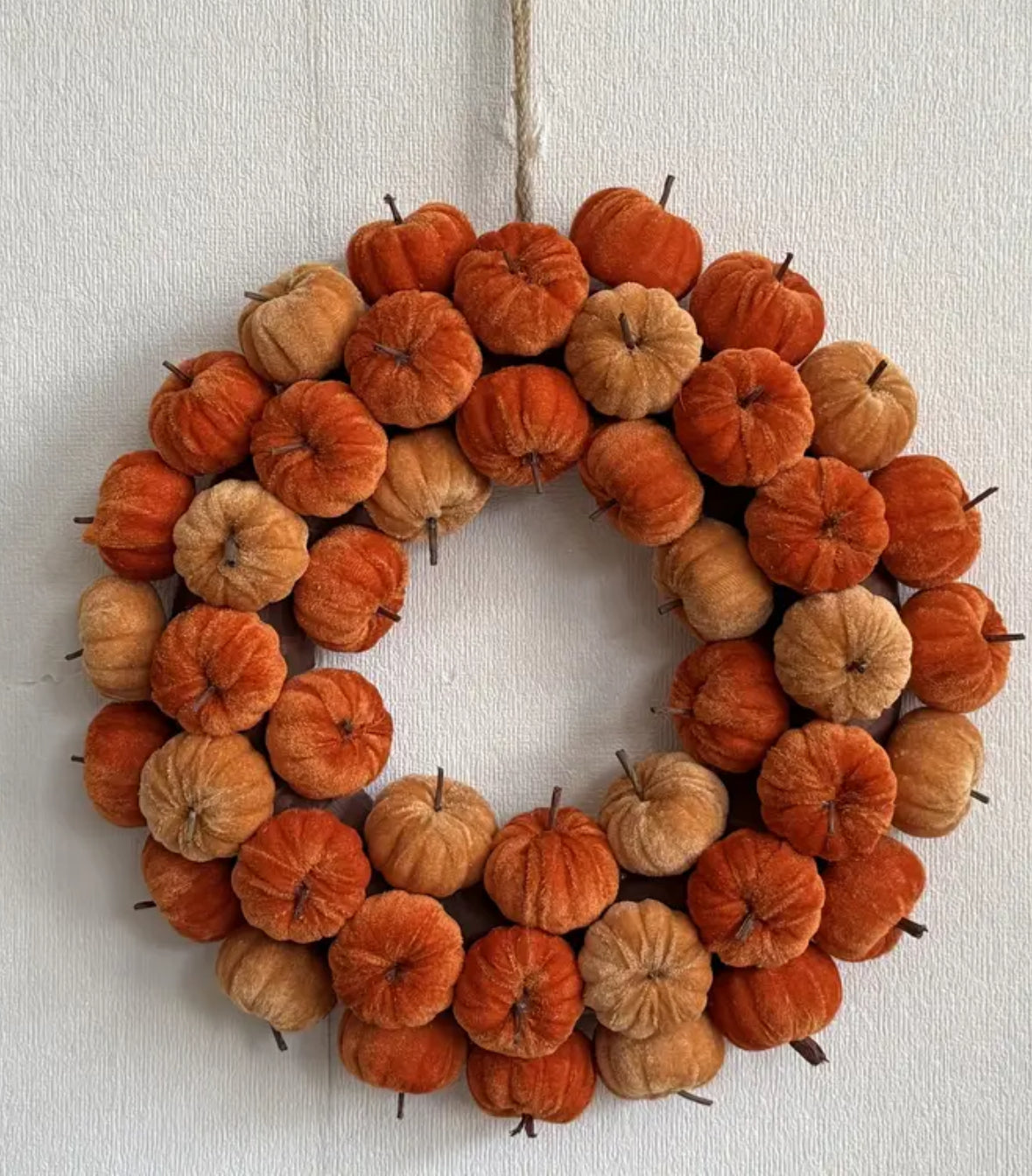 Pretty Pumpkin