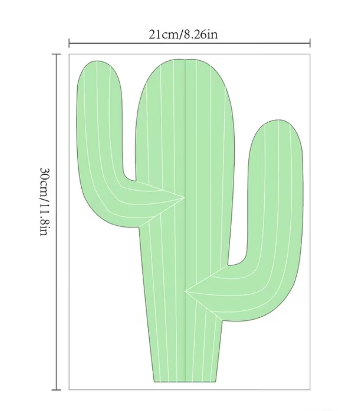 Paper cactussus