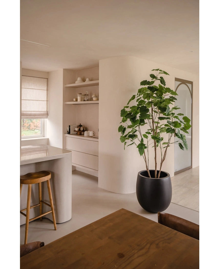 Ficus boom 180cm