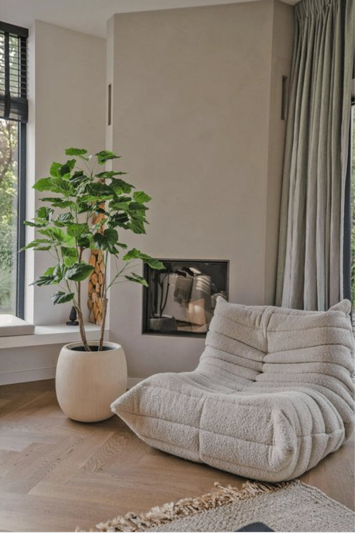 Ficus boom 180cm
