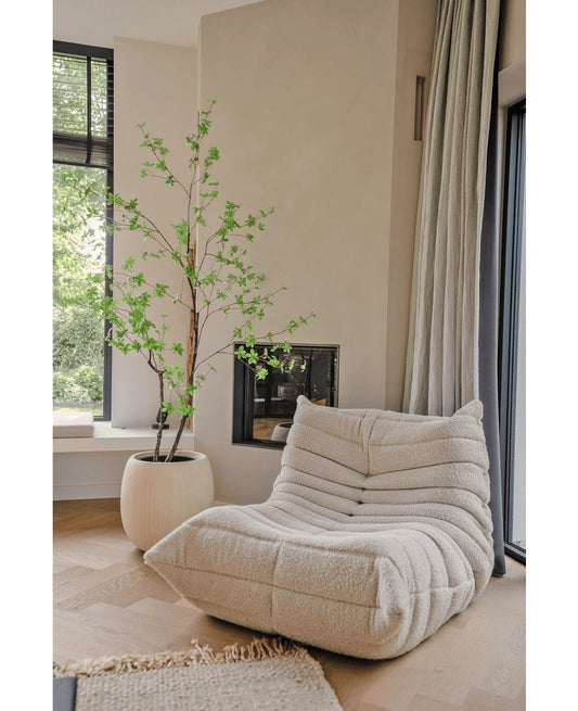 Enkianthus 210cm