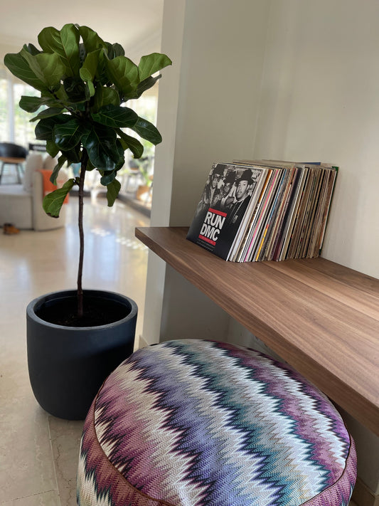 Flirty Ficus