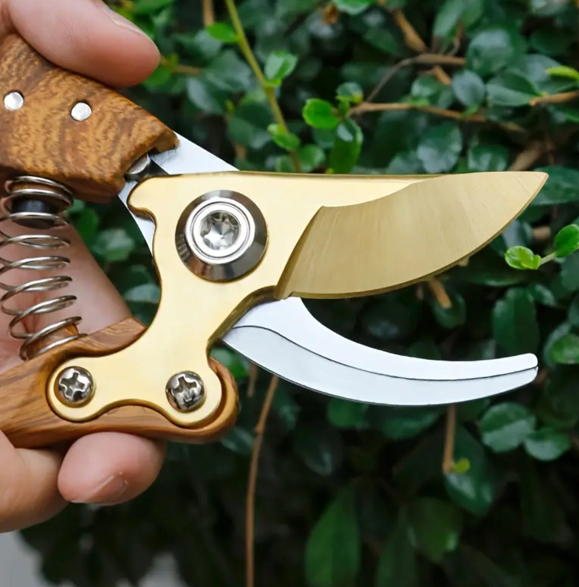 The Classic Cutter