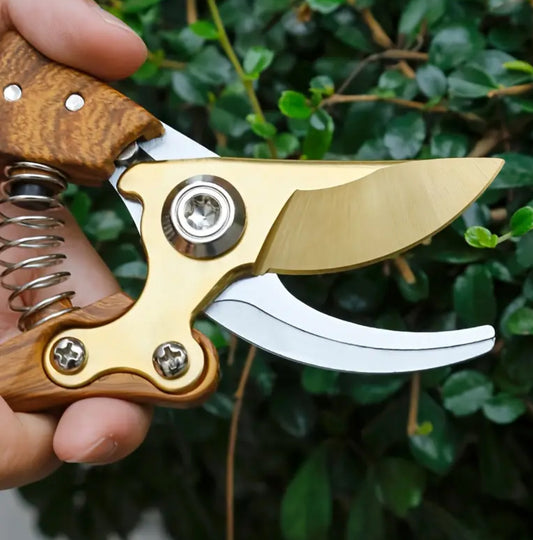 The Classic Cutter