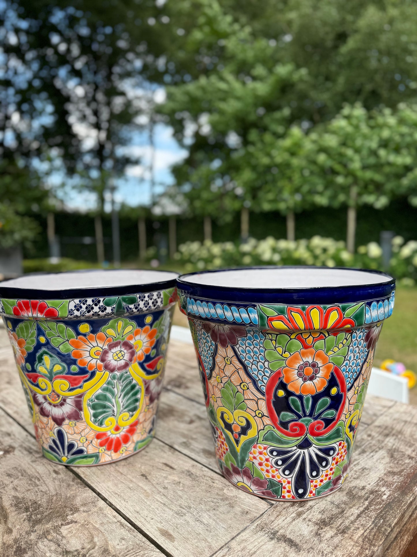 Viva Colores 30cm