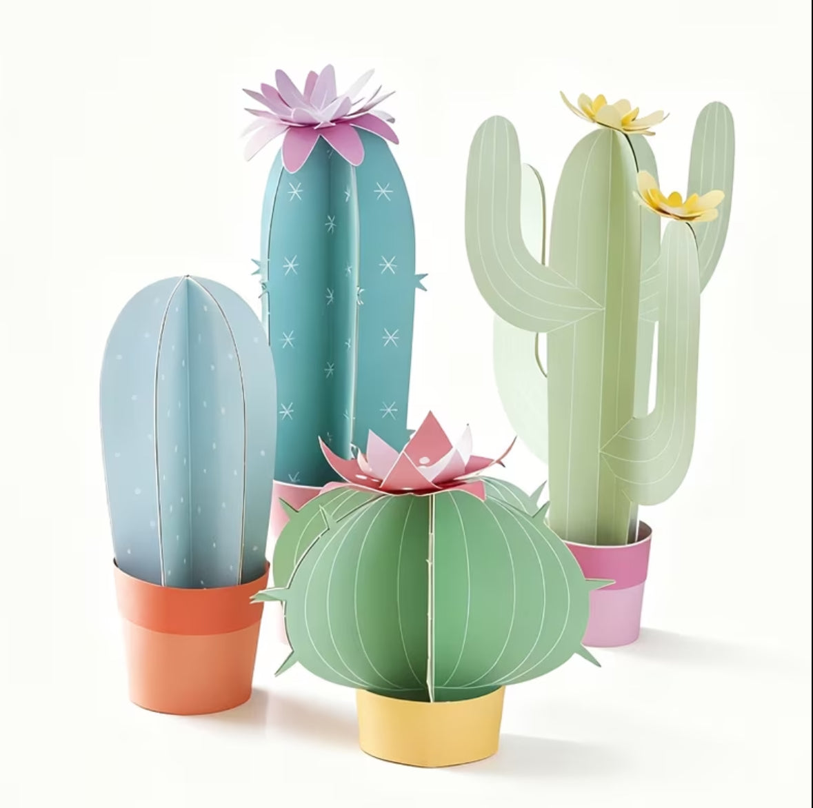 Paper cactussus