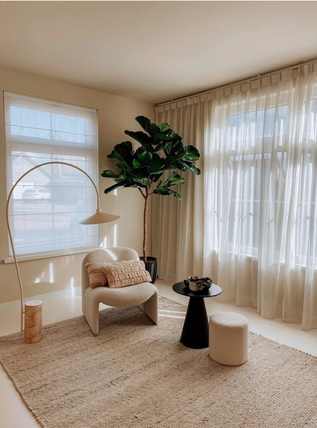 Ficus 215cm