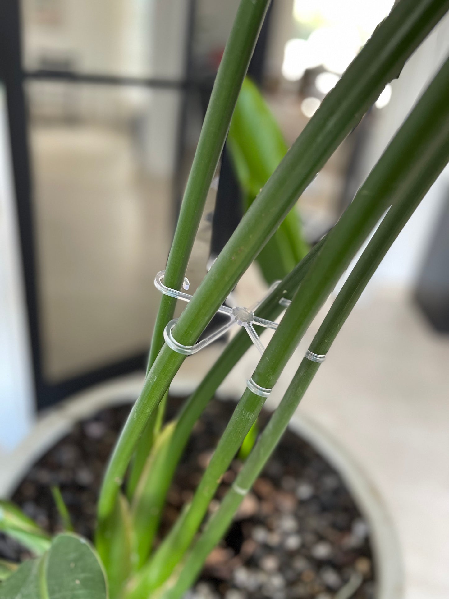 Little green helper