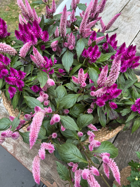 Pink autumn basket