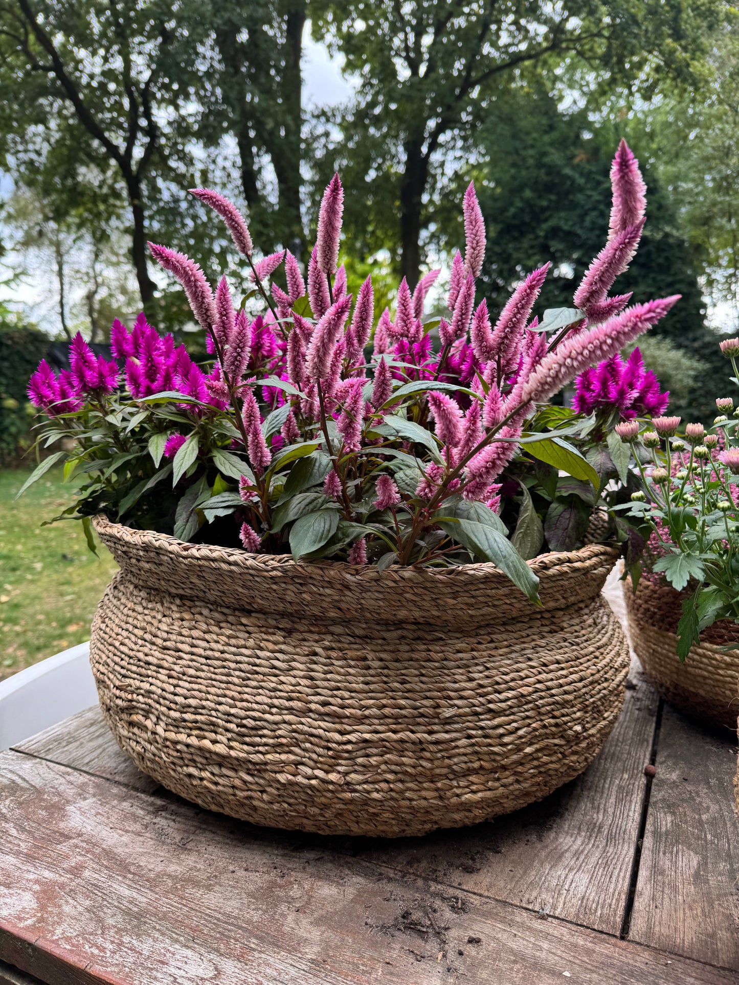 Pink autumn basket