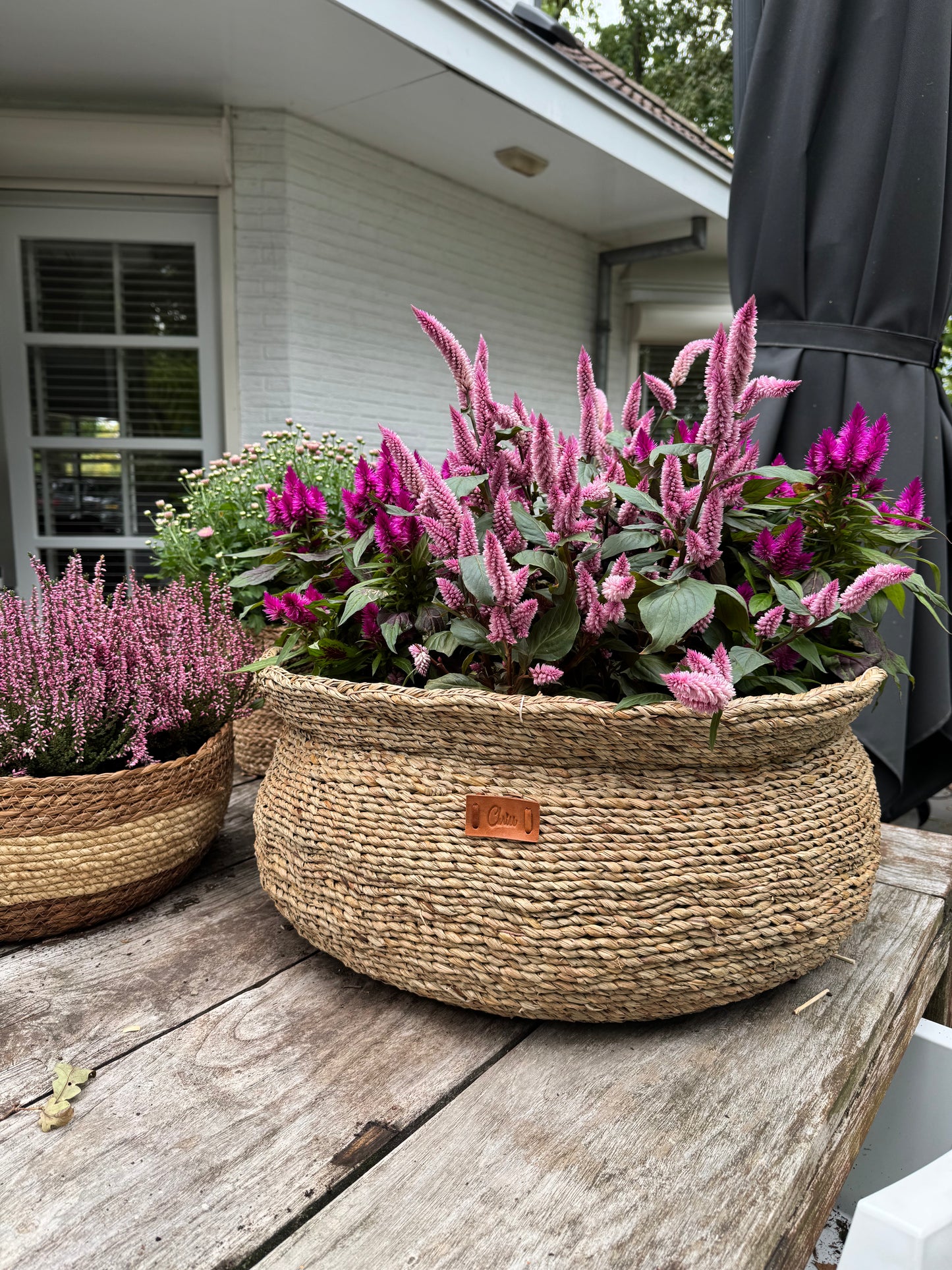 Pink autumn basket