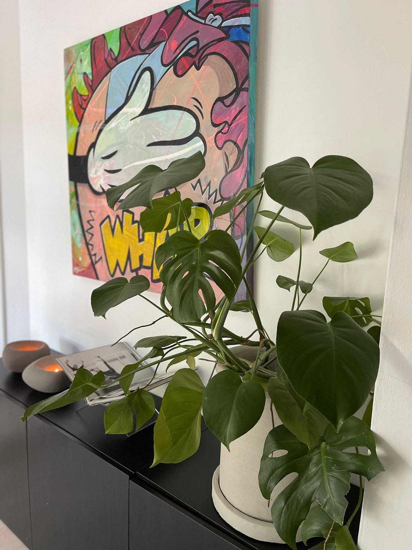 Monstera deliciosa